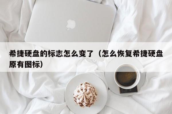 希捷硬盘的标志怎么变了（怎么恢复希捷硬盘原有图标）