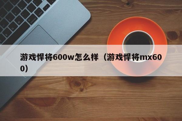 游戏悍将600w怎么样（游戏悍将mx600）