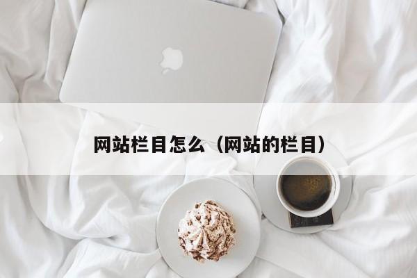 网站栏目怎么（网站的栏目）