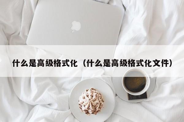 什么是高级格式化（什么是高级格式化文件）