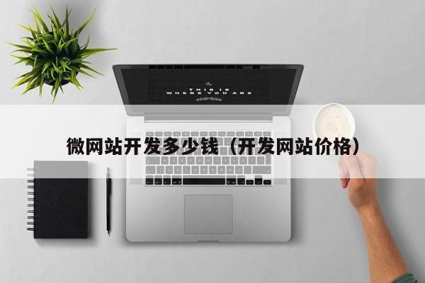 微网站开发多少钱（开发网站价格）